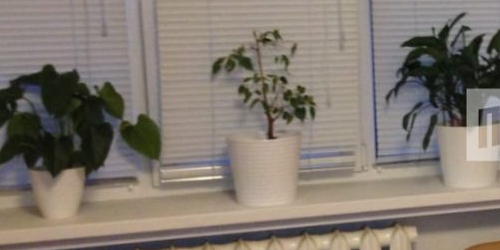 1-комн квартира Новоизмайловский проспект, 20К1