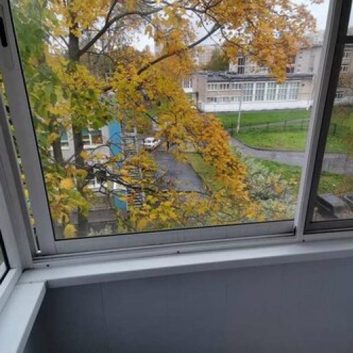 1-комн квартира Полюстровский пр-кт,  д. 11,  к. 2