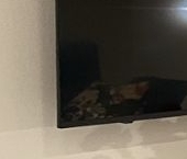 Сдать в аренду Квартиры вторичка дорога Торфяная, 13   