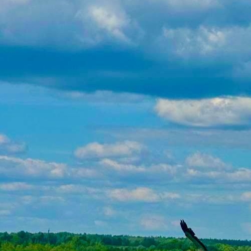 Коттедж/дом д. Чеголи, улица Центральная, 55