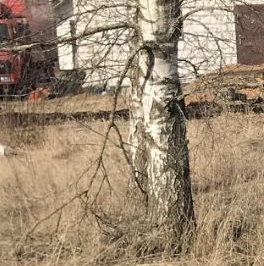 Продажа земли Пушкин, СНТ Дони тер., улица 16-я Линия, д. 362 Продажа земли Пушкин, СНТ Дони тер., улица 16-я Линия, д. 362