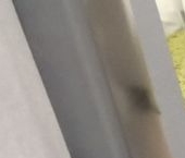 Сдать в аренду Квартиры вторичка пос. Парголово, Заречная улица, 13к3   