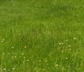 Продать Дачи, коттеджи, загородные дома Восход садоводческий массив, Треугольник СНТ, 7-я линия, 66   