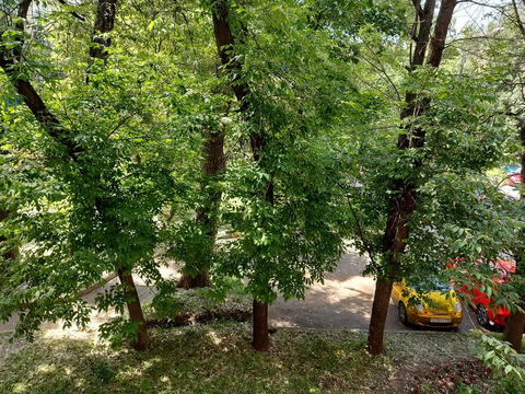 Комната ул. Академика Ильюшина,  д. 6