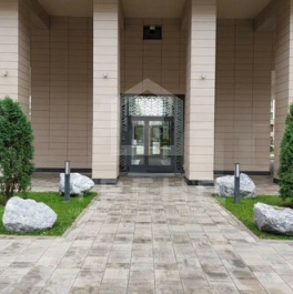 Продажа 2-комн квартиры на вторичном рынке Петровский пр-кт,  д. 24 к2