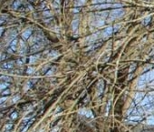 Продать Земельные участки, земля Захожье-2 садоводческий массив, Захожье-5 СНТ   