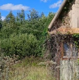 Продажа дома Посадников остров садоводческий массив, Позитив-Кириши СНТ