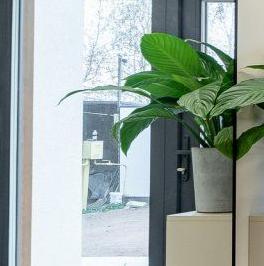 Продажа дома Горелово тер., улица Колхозная, 19