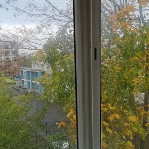 1-комн квартира Полюстровский пр-кт,  д. 11,  к. 2