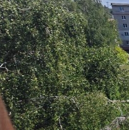 Продажа 2-комн квартиры на вторичном рынке Шатура, Школьная улица, 22 Продажа 2-комн квартиры на вторичном рынке Шатура, Школьная улица, 22