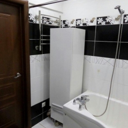 Аренда 1-комн квартиры на вторичном рынке 1-я Красноармейская ул, д. 4 Аренда 1-комн квартиры на вторичном рынке 1-я Красноармейская ул, д. 4