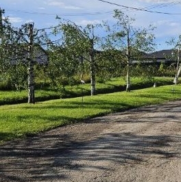 Продажа земли д. Вяхтелево, улица Коммунарская, 3 Продажа земли д. Вяхтелево, улица Коммунарская, 3