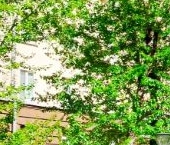 Продать Квартиры вторичка Семеновская набережная, 3/1К6   