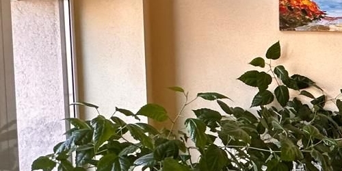 4-комн квартира Московский проспект, 172к4