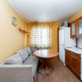 Продажа 1-комн квартиры на вторичном рынке Шушары пос., Пушкинская ул. , д. 36 Продажа 1-комн квартиры на вторичном рынке Шушары пос., Пушкинская ул. , д. 36