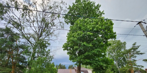 Коттедж/дом Новоорловская улица,  д. 84