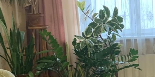 3-комн квартира улица Марьинский Парк, 21К2