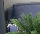 Продать Квартиры вторичка Челябинская улица, 37   