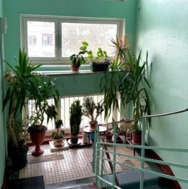 Продажа 1-комн квартиры на вторичном рынке имени Морозова, ул Спорта,  д. 8