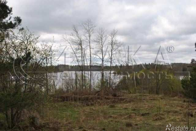 Продажа земли Богатыри, Богатыри п.