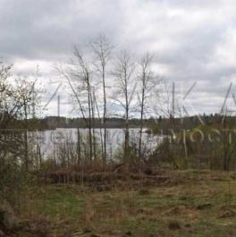 Продажа земли Богатыри, Богатыри п.