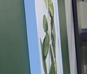 Сдать в аренду Квартиры вторичка Каширский проезд, 25к2   