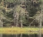 Продать Земельные участки, земля Огоньково кп  39 