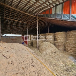 Продажа ПСН деревня Губаницы, деревня Губаницы,