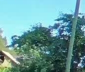 Продать Квартиры вторичка Новая Ладога, улица Ворошилова, 27   