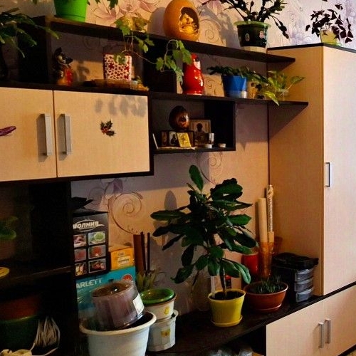 2-комн квартира Дубровка пгт, улица Томилина, 3