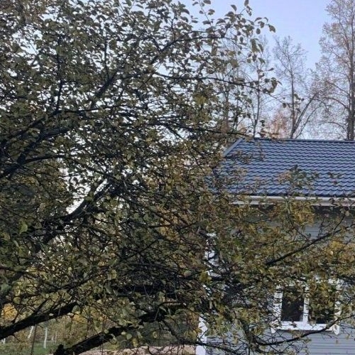 Коттедж/дом Вырица городской поселок, улица Максима Горького