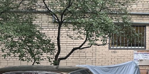 2-комн квартира 2-я Миусская улица, 9