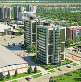 Продажа 1-комн квартиры на вторичном рынке Аннинское городское поселение, Центральная улица,  д. 8 к2