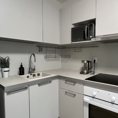 1-комн квартира пос. Парголово, дорога Михайловская, 14к1