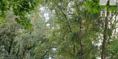 1-комн квартира Планерная улица, 16К5