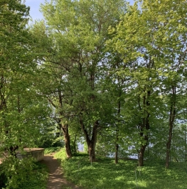 Продажа 1-комн квартиры на вторичном рынке Павлово пос., Невская ул. ,  д. 11