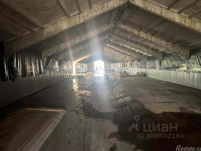 Аренда склада Руднево, , Кашира, ул Центральная,  д. 3