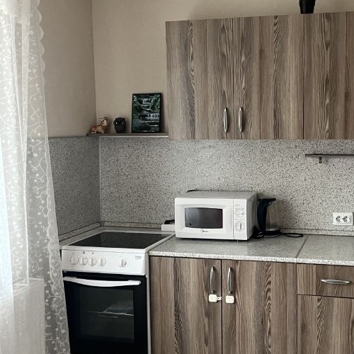 1-комн квартира Мурино, улица Шоссе в Лаврики, 57к1