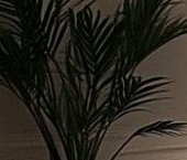 Продать Квартиры вторичка улица Ефремова, 19к3   