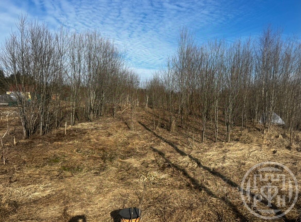 Продажа земли Заостровье ДНП, 14