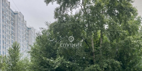 2-комн квартира ул Городецкая,  д. 11