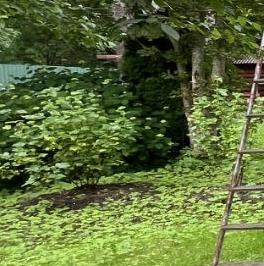 Продажа дома Лужок СНТ, улица Западная, 59 Продажа дома Лужок СНТ, улица Западная, 59