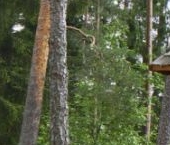 Продать Земельные участки, земля д. Лемболово, улица Магазинная, 2   