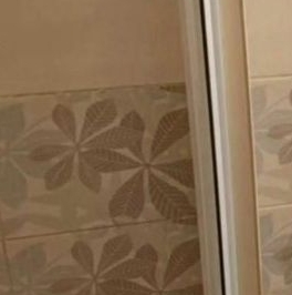 Продажа студии Мурино, улица Графская, 12к1