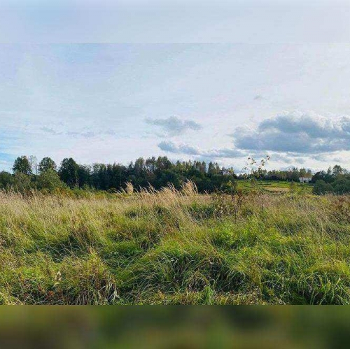 Земельный участок деревня Аргуново