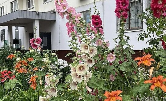 Аренда 1-комн квартиры на вторичном рынке улица Пржевальского,  д. 2