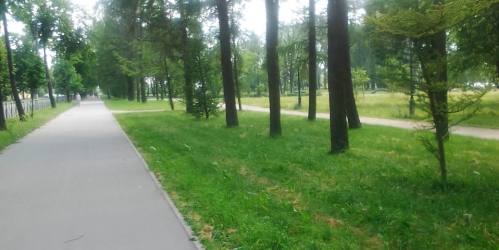 1-комн квартира Колпинский р-н, Красная ул.,8