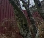 Продать Дачи, коттеджи, загородные дома Пушкин, Рехколово СНТ, улица Южная  44 