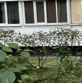 Продажа 2-комн квартиры на вторичном рынке улица Маршала Захарова, 17К2