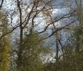 Продать Земельные участки, земля д. Верхние Венки, улица Рождественская   